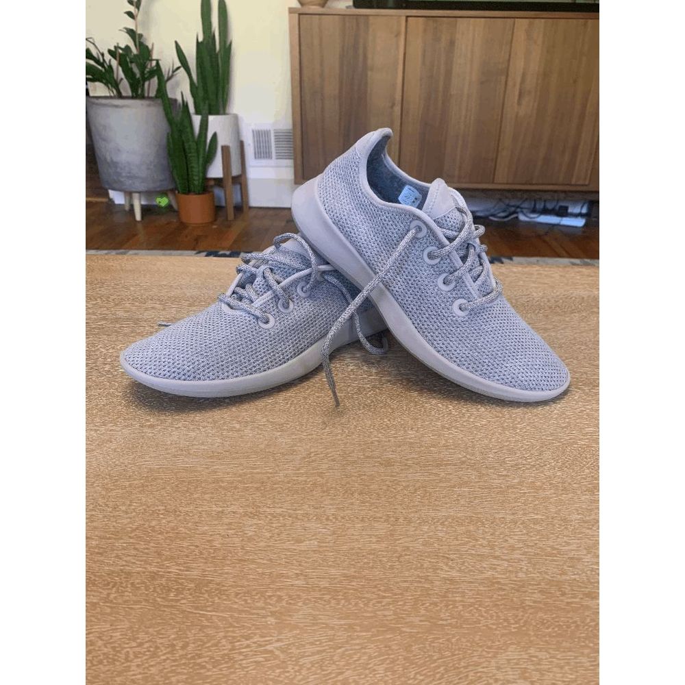 Allbirds Men's Tree Runners
